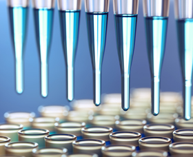 New $6 Million Fund To Accelerate Synthetic Biology and Biomanufacturing Capability