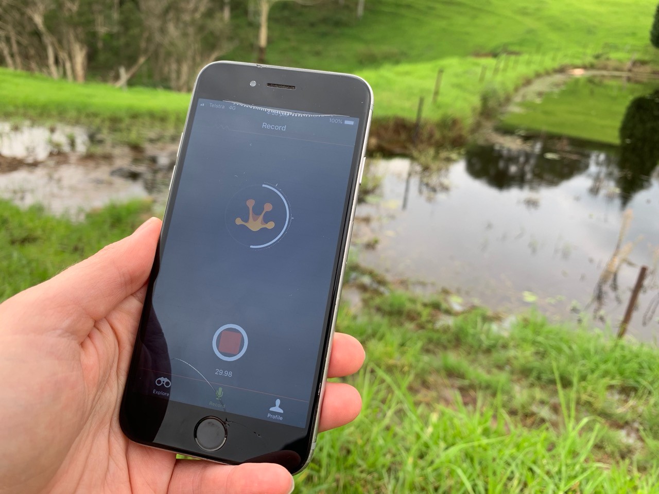 The FrogID app on a smartphone with a river in the background