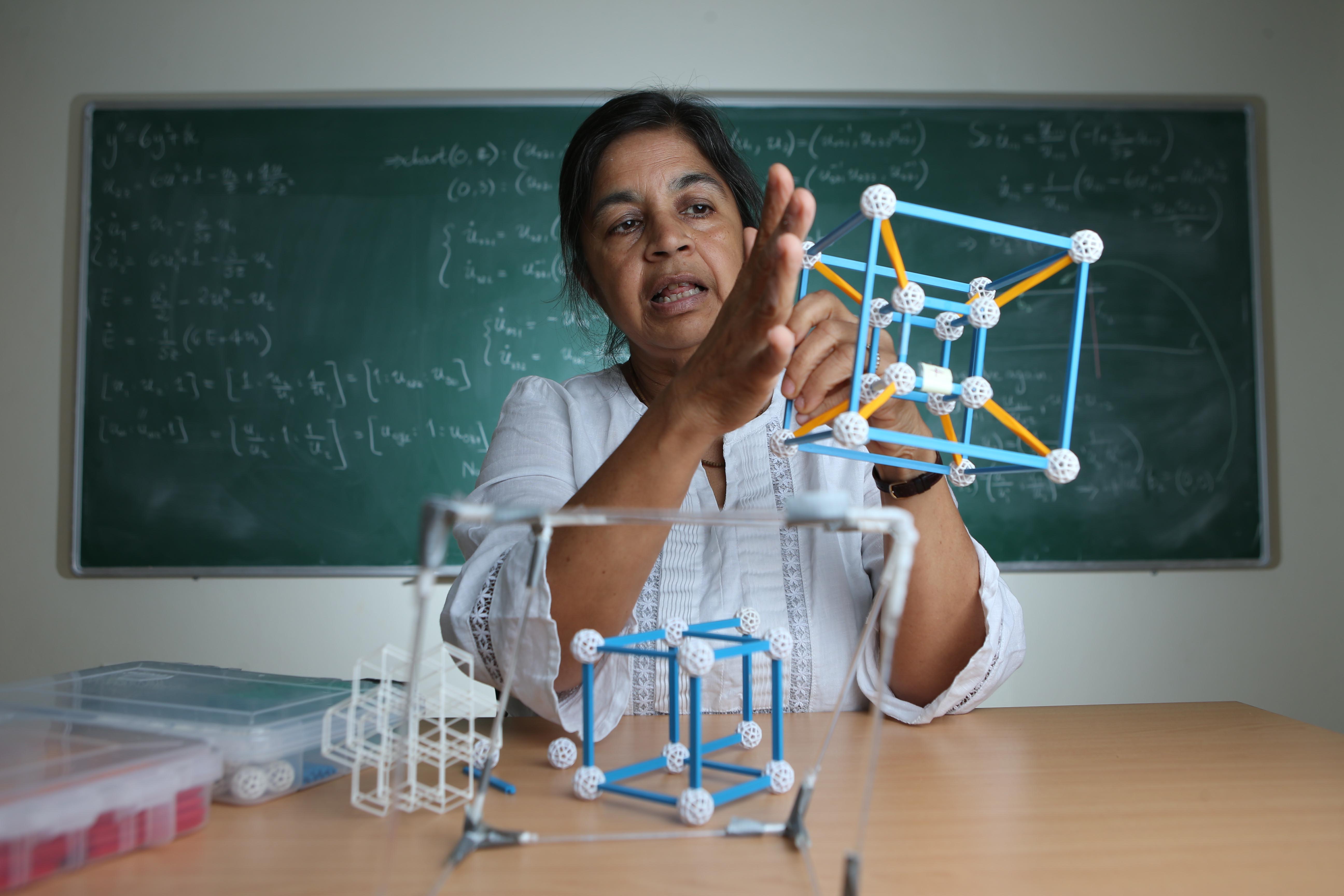 Professor Nalini Joshi